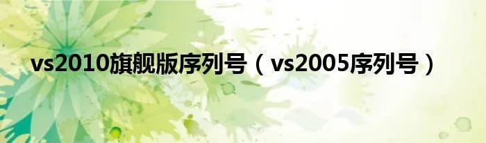 vs2010旗舰版序列号(vs2005序列号)
