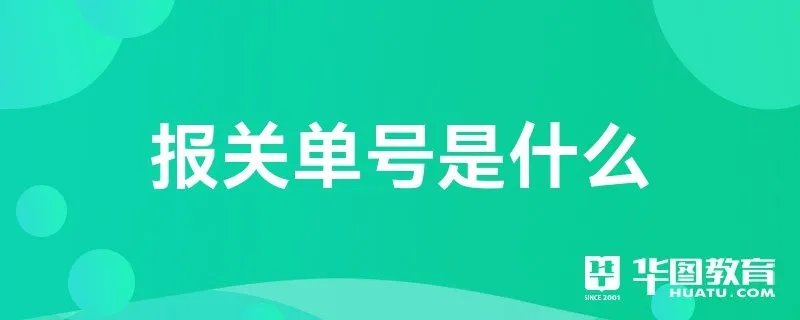 报关单号是什么
