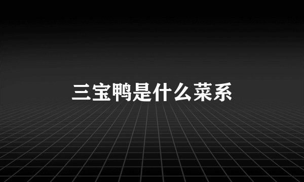 三宝鸭是什么菜系