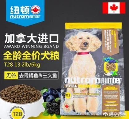 哈士奇吃什么狗粮好?