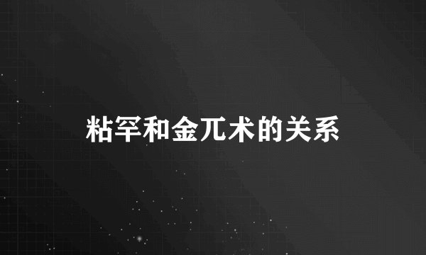 粘罕和金兀术的关系