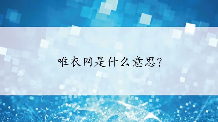 唯衣网是什么意思？