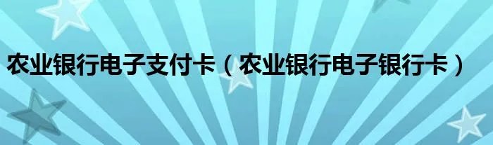 农业银行电子支付卡（农业银行电子银行卡）