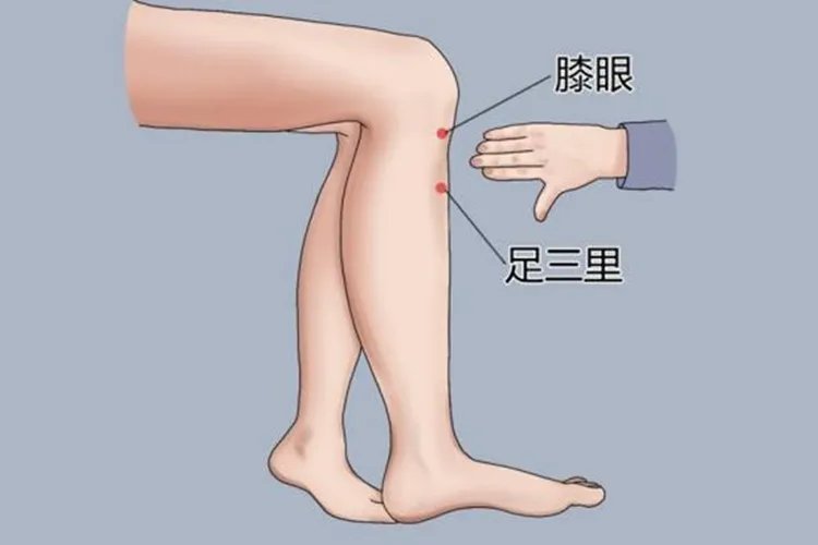 三伏贴祛湿贴在什么位置图