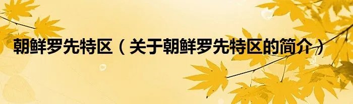 朝鲜罗先特区（关于朝鲜罗先特区的简介）