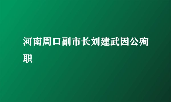 河南周口副市长刘建武因公殉职