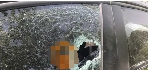 陈羽凡公司发文为何事?