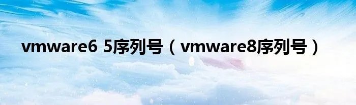 vmware6 5序列号（vmware8序列号）