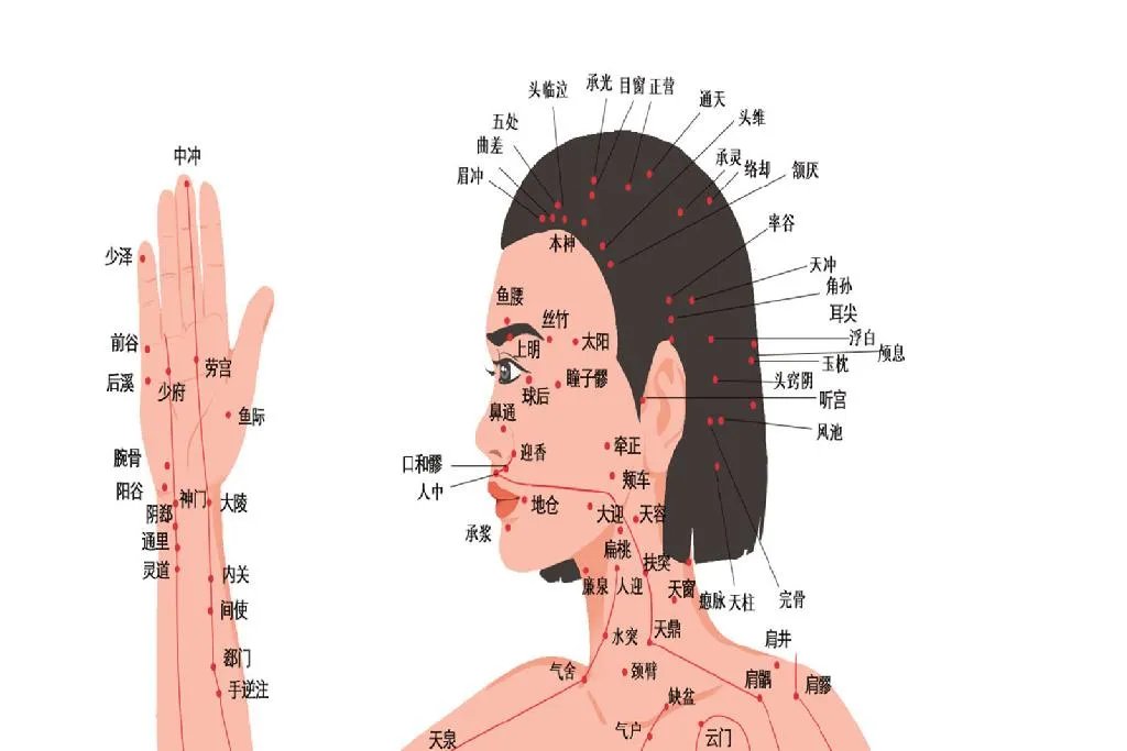 全身人体穴位图