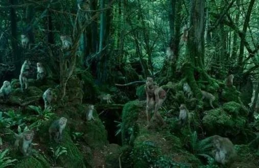 心酸!14个被野生动物养大的孩子(图文)