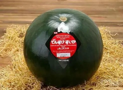 世界最贵食物:吃一嘴倾家荡产(图)