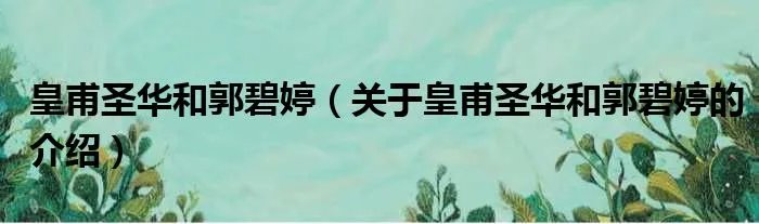 皇甫圣华和郭碧婷（关于皇甫圣华和郭碧婷的介绍）