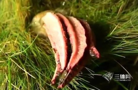 男子草丛发现异物 捅破后被吓坏了(图)