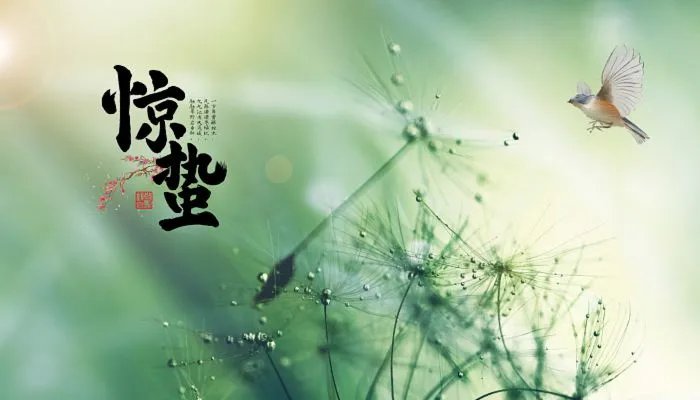 惊蛰读音是什么 惊蛰怎么读