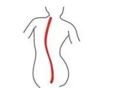 探戈学习技巧 入门其实不难