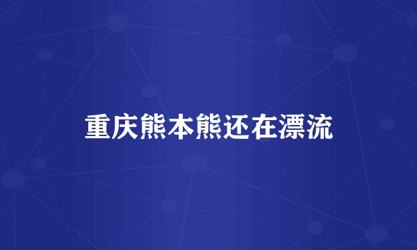 重庆熊本熊还在漂流