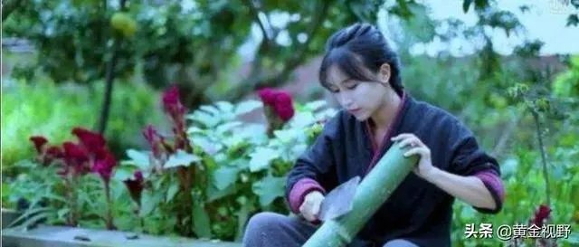 李子柒到底文化输出了什么?