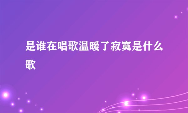 是谁在唱歌温暖了寂寞是什么歌