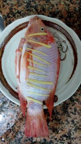 红鱼(忘了名的鱼)