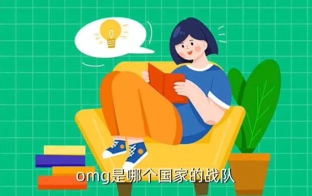 lol omg战队，LOL的OMG战队队员详细资料