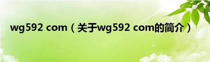 wg592 com（关于wg592 com的简介）