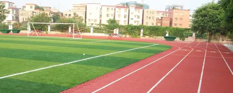 橡胶跑道与塑胶跑道区别是什么