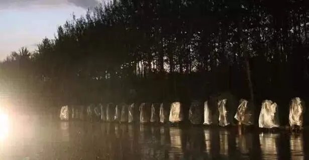 中国真正的尼姑:让人心头一震(组图)