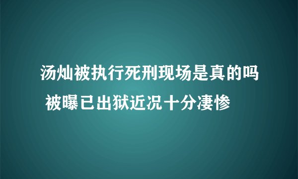 汤灿被执行死刑现场是真的吗 被曝已出狱近况十分凄惨