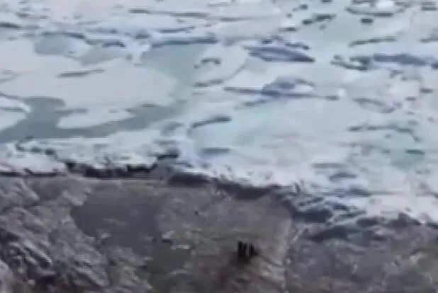 地球最北岛屿被意外发现  位于欧达克岛以北780米处