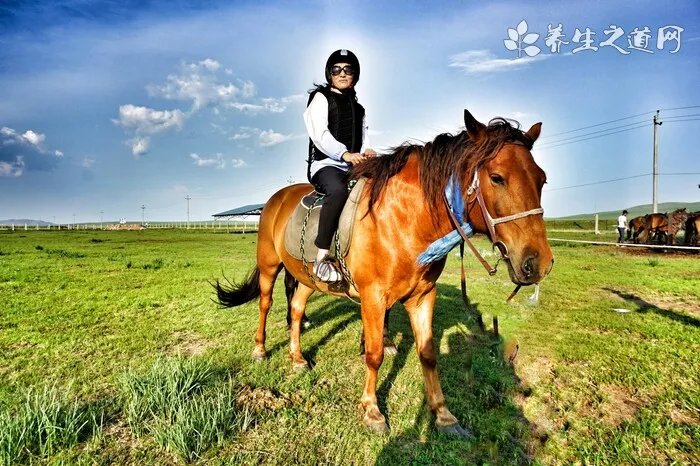 三尺神明在头上打一动物生肖，三尺神明在头上猜一个生肖