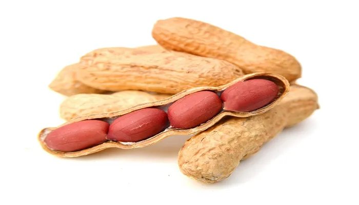 俗称长生果是指什么果 俗称长生果的是指什么