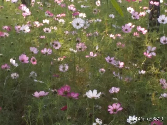 河北高校“天价宿舍”,是否合理?