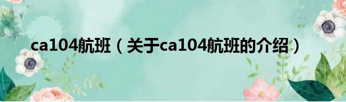 ca104航班（关于ca104航班的介绍）