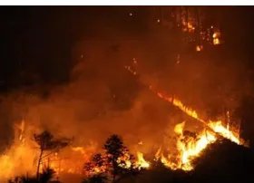 河北发生森林大火是什么原因引发的?