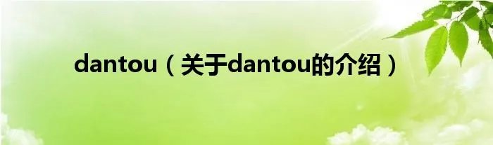 dantou（关于dantou的介绍）