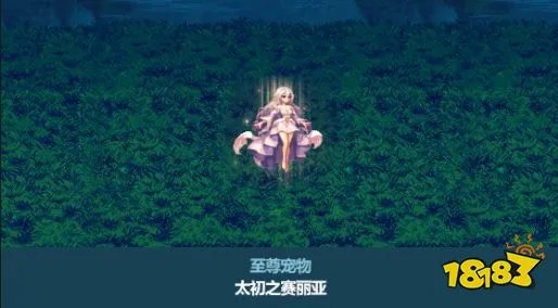 dnf2023春节套宠物属性一览