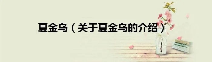 夏金乌（关于夏金乌的介绍）