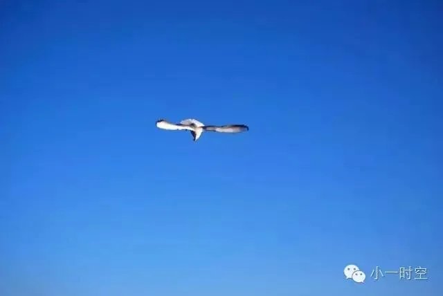 著名作家余光中病逝了吗?