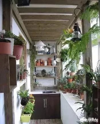 长方形的小阳台怎么打造小花园？