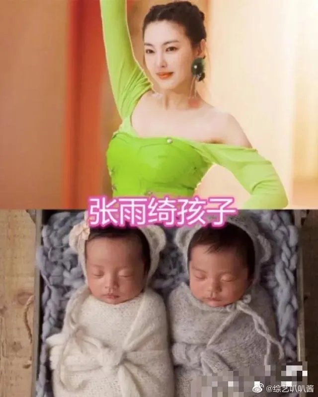 张雨绮有一对双胞胎孩子,是怎么一回事?