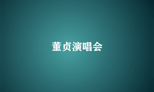 董贞演唱会