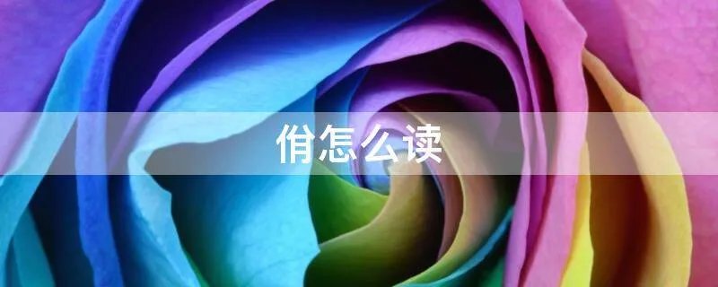 佾怎么读