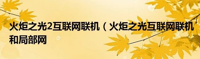 火炬之光2互联网联机(火炬之光互联网联机和局部网