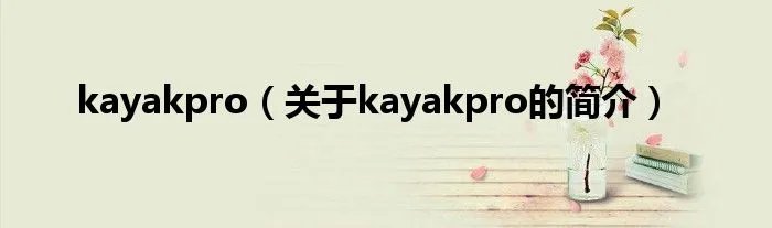 kayakpro（关于kayakpro的简介）