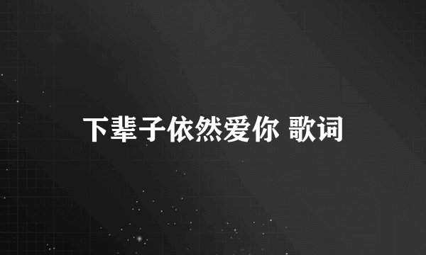 下辈子依然爱你 歌词
