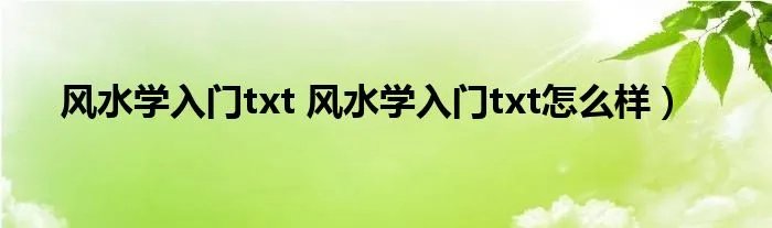 风水学入门txt 风水学入门txt怎么样）
