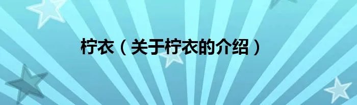 柠衣（关于柠衣的介绍）