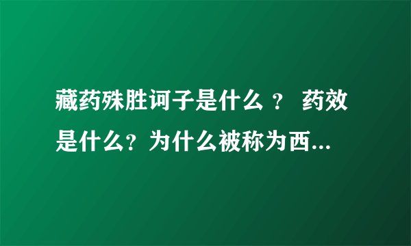 藏药殊胜诃子是什么 ？ 药效是什么？为什么被称为西藏最珍贵的药？