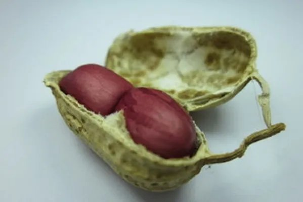 起床后常吃它70岁都不易患癌(图)