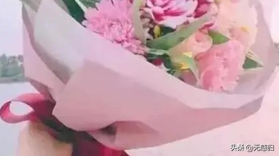 芙伊苍殊是哪本小说的人物？